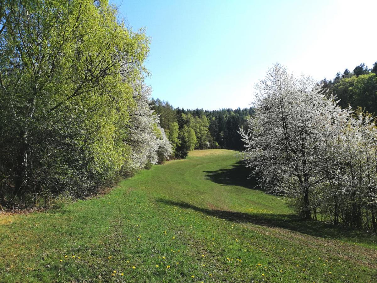Ferienwohnung Wilhelm Springstille Exteriör bild