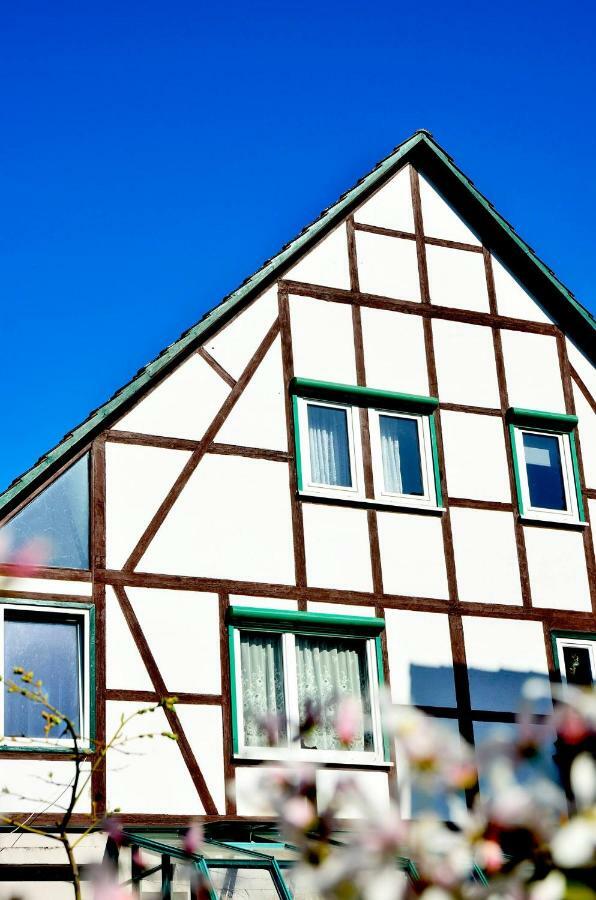 Ferienwohnung Wilhelm Springstille Exteriör bild