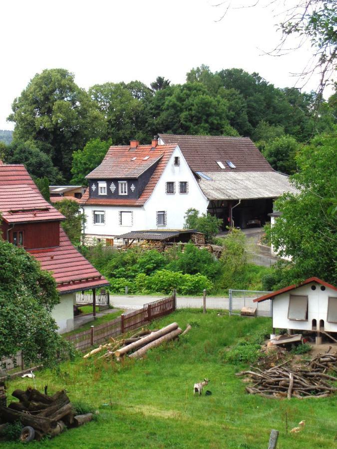 Ferienwohnung Wilhelm Springstille Exteriör bild